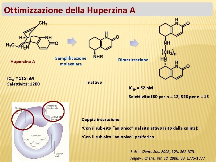 Ottimizzazione della Huperzina A IC 50 = 115 n. M Selettività: 1200 Semplificazione molecolare