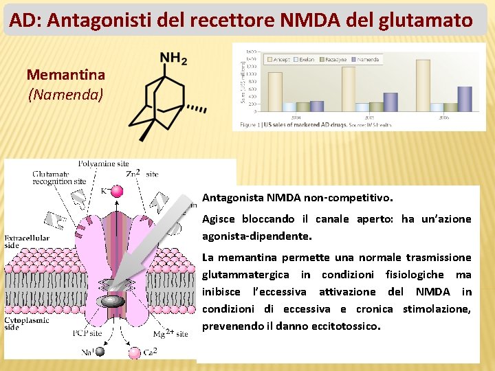 AD: Antagonisti del recettore NMDA del glutamato Memantina (Namenda) Antagonista NMDA non-competitivo. Agisce bloccando