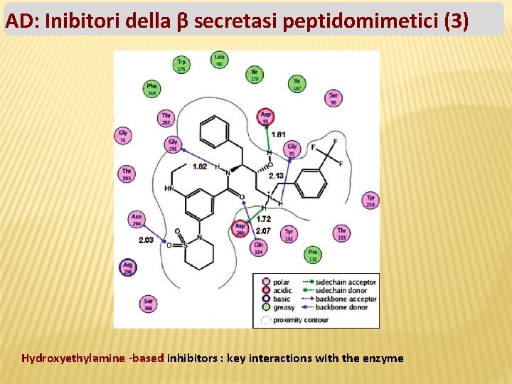AD: Inibitori della β secretasi peptidomimetici (3) Hydroxyethylamine -based inhibitors : key interactions with