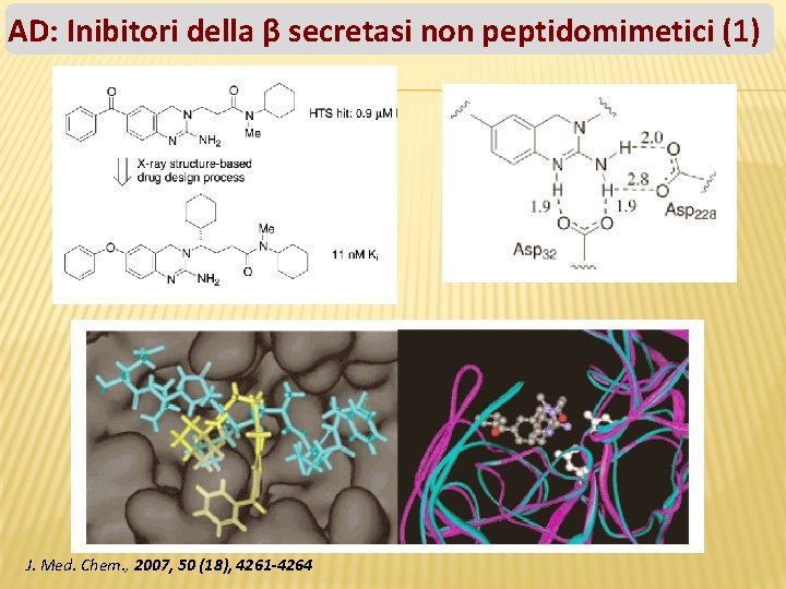 AD: Inibitori della β secretasi non peptidomimetici (1) J. Med. Chem. , 2007, 50