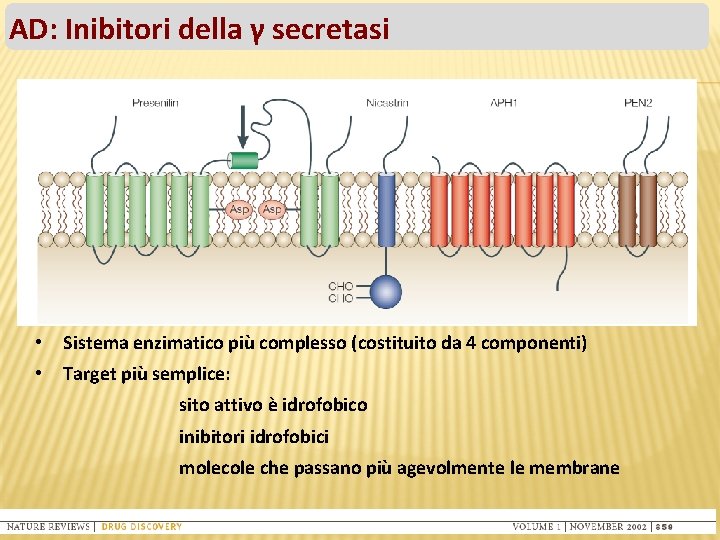 AD: Inibitori della γ secretasi • Sistema enzimatico più complesso (costituito da 4 componenti)