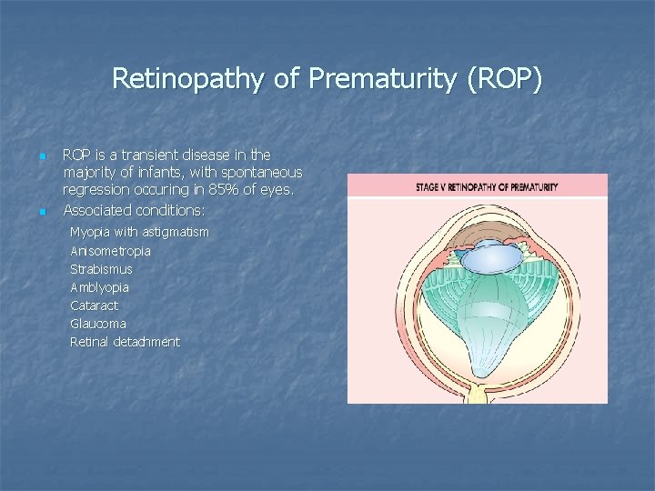 Retinopathy of Prematurity (ROP) n n ROP is a transient disease in the majority