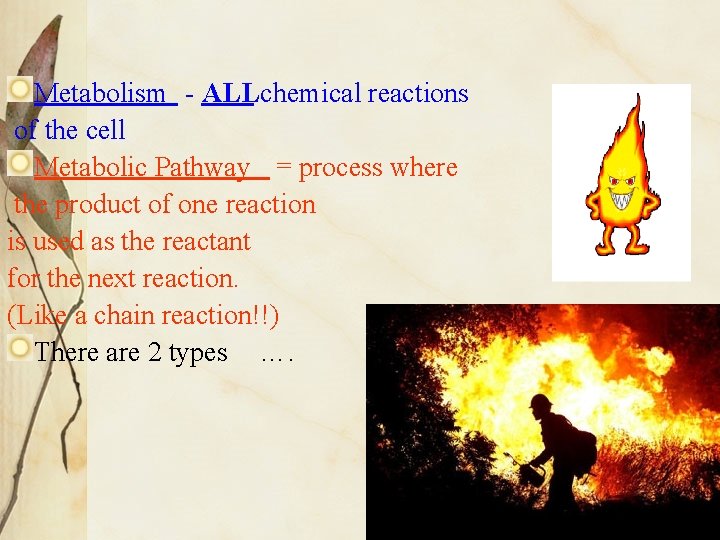 Chapter 8 Cellular Energy How Organisms Obtain Energy