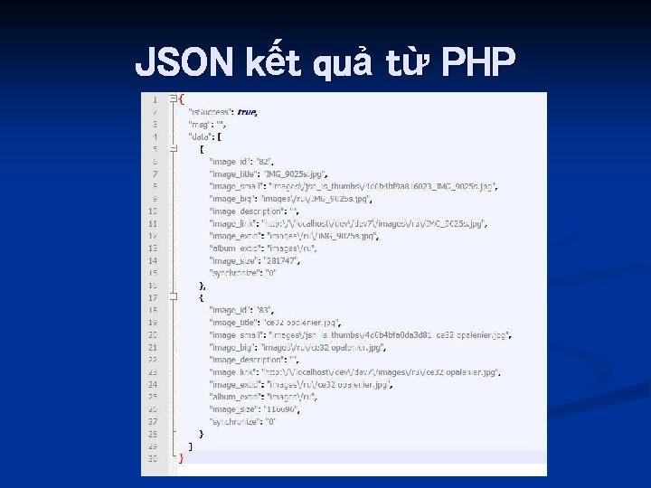 JSON kết quả từ PHP 