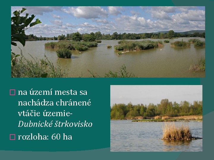 � na území mesta sa nachádza chránené vtáčie územie. Dubnické štrkovisko � rozloha: 60 � na území mesta sa nachádza chránené vtáčie územie. Dubnické štrkovisko � rozloha: 60
