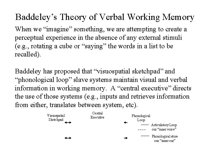 Baddeley’s Theory of Verbal Working Memory When we “imagine” something, we are attempting to