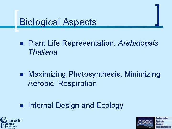 Biological Aspects n Plant Life Representation, Arabidopsis Thaliana n Maximizing Photosynthesis, Minimizing Aerobic Respiration