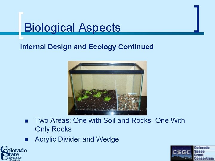 Biological Aspects Internal Design and Ecology Continued n n Two Areas: One with Soil
