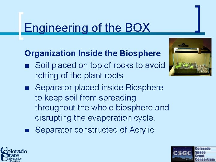 Engineering of the BOX Organization Inside the Biosphere n Soil placed on top of