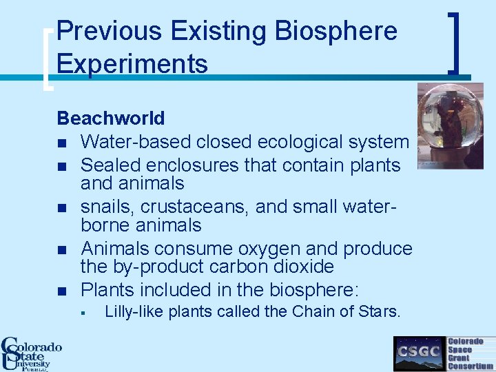 Previous Existing Biosphere Experiments Beachworld n Water-based closed ecological system n Sealed enclosures that