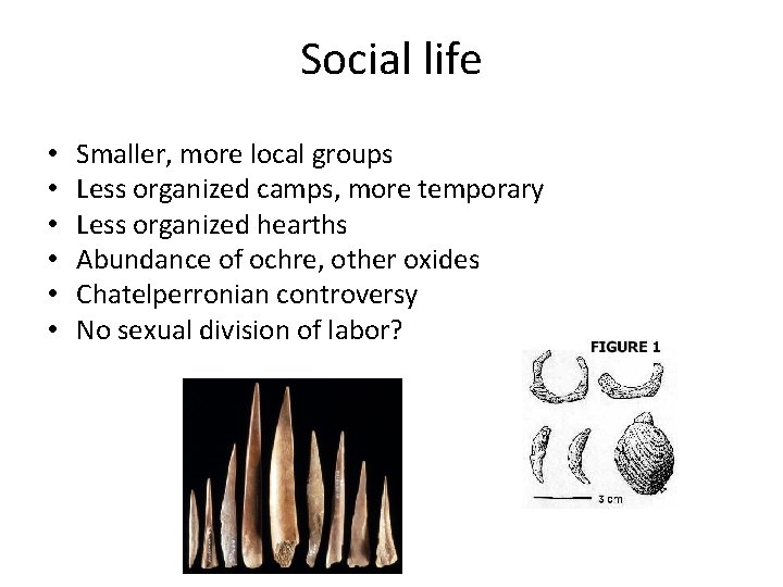 Social life • • • Smaller, more local groups Less organized camps, more temporary