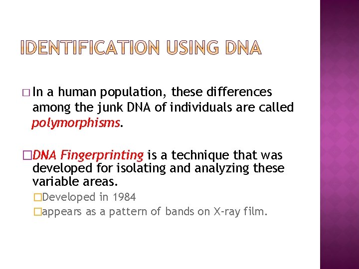 � In a human population, these differences among the junk DNA of individuals are