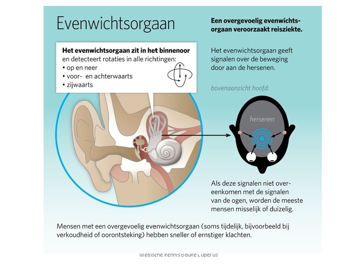 Medische kennis Bouke Cuperus 