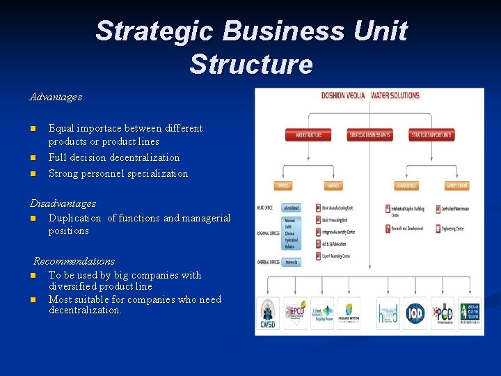 Strategic Business Unit Structure Advantages n n n Equal importace between different products or