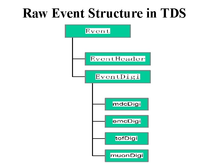 Raw Event Structure in TDS 