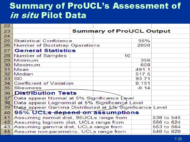 Summary of Pro. UCL’s Assessment of in situ Pilot Data 7 -20 