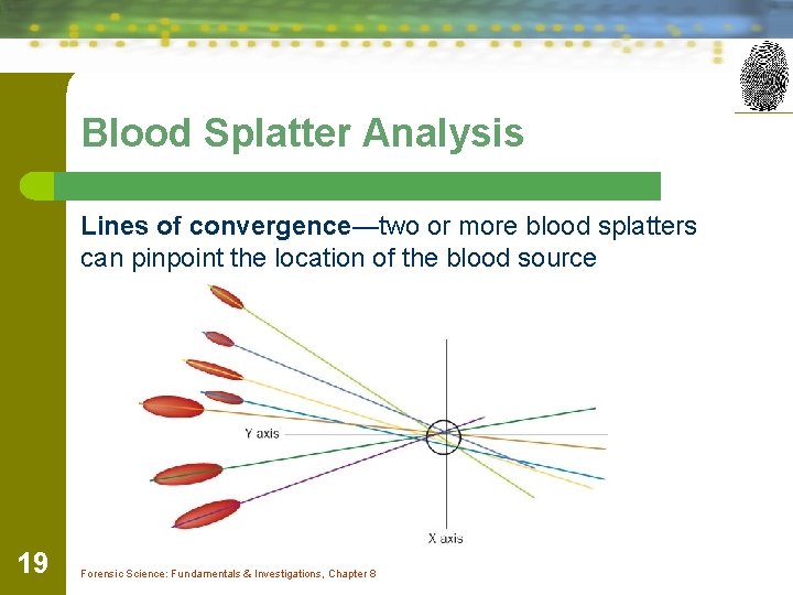 Blood Splatter Analysis Lines of convergence—two or more blood splatters can pinpoint the location Blood Splatter Analysis Lines of convergence—two or more blood splatters can pinpoint the location