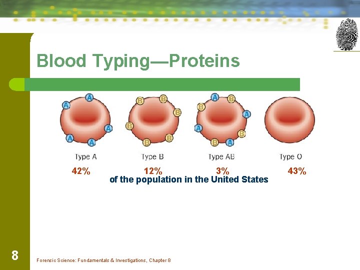 Blood Typing—Proteins 42% 8 12% 3% of the population in the United States Forensic Blood Typing—Proteins 42% 8 12% 3% of the population in the United States Forensic