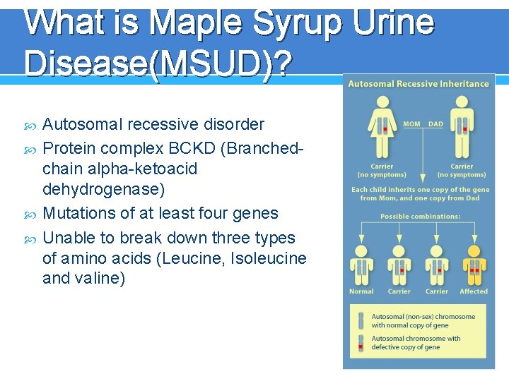 What is Maple Syrup Urine Disease(MSUD)? Autosomal recessive disorder Protein complex BCKD (Branchedchain alpha-ketoacid
