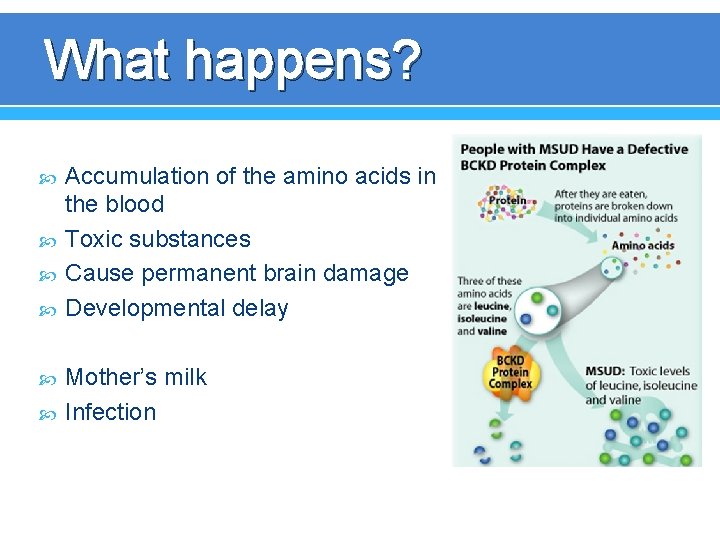 What happens? Accumulation of the amino acids in the blood Toxic substances Cause permanent