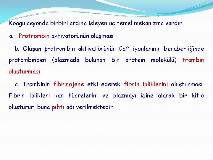 Koagulasyonda birbiri ardına işleyen üç temel mekanizma vardır. a. Protrombin aktivatörünün oluşması b. Oluşan