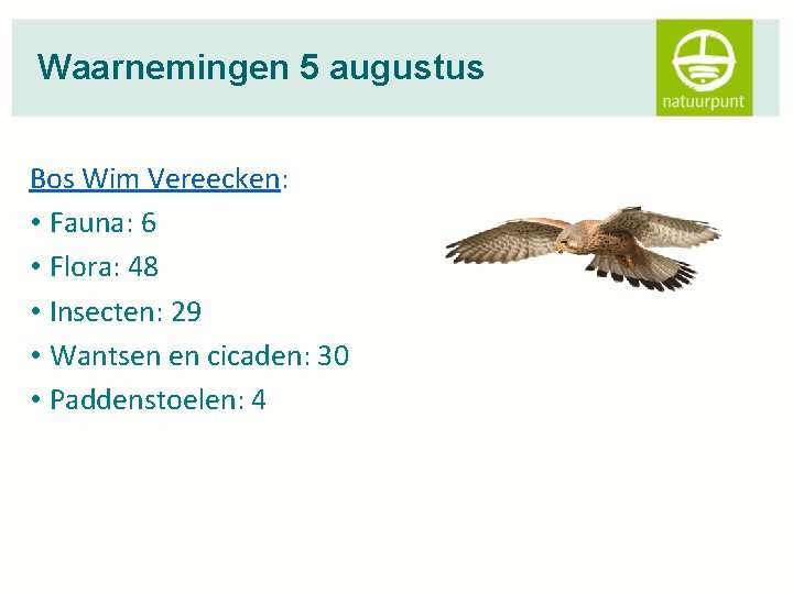 Waarnemingen 5 augustus Bos Wim Vereecken: • Fauna: 6 • Flora: 48 • Insecten: