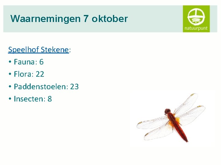 Waarnemingen 7 oktober Speelhof Stekene: • Fauna: 6 • Flora: 22 • Paddenstoelen: 23