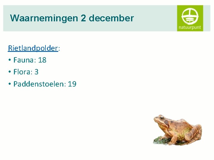 Waarnemingen 2 december Rietlandpolder: • Fauna: 18 • Flora: 3 • Paddenstoelen: 19 