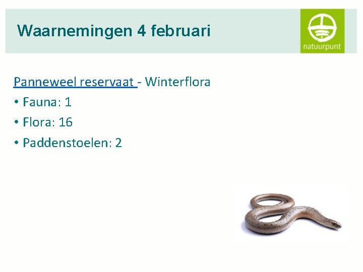 Waarnemingen 4 februari Panneweel reservaat - Winterflora • Fauna: 1 • Flora: 16 •