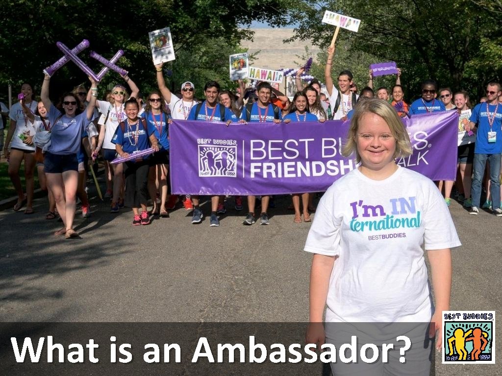 What is an Ambassador? 