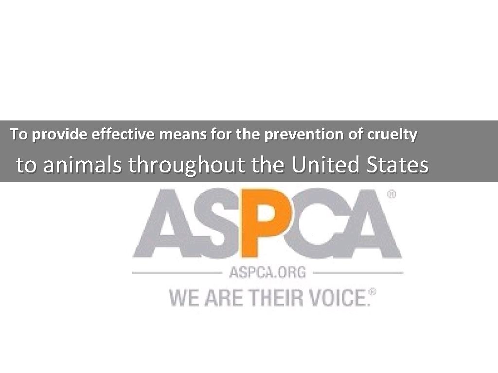 To provide effective means for the prevention of cruelty to animals throughout the United