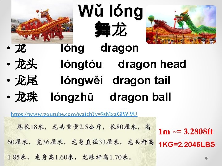Wǔ lóng 舞龙 • • 龙 龙头 龙尾 龙珠 lóng dragon lóngtóu dragon head