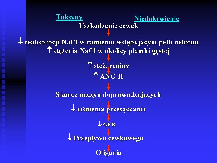 Toksyny Niedokrwienie Uszkodzenie cewek reabsorpcji Na. Cl w ramieniu wstępującym petli nefronu stężenia Na.