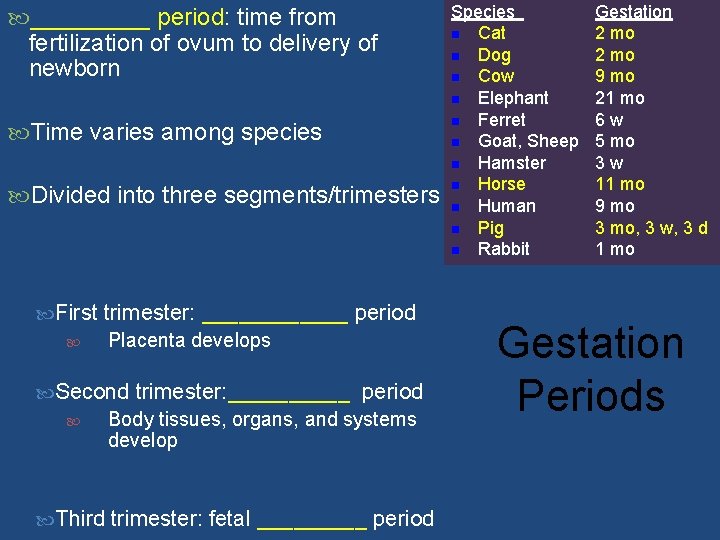  _____ period: time from fertilization of ovum to delivery of newborn Time varies