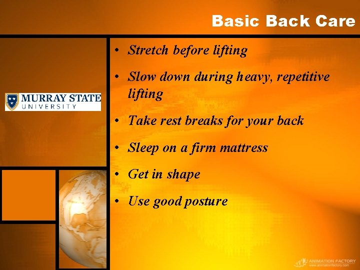 Basic Back Care • Stretch before lifting • Slow down during heavy, repetitive lifting