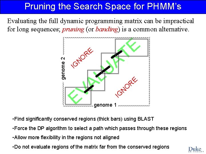 Pruning the Search Space for PHMM’s genome 2 Evaluating the full dynamic programming matrix