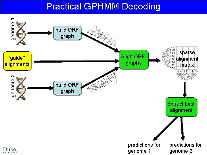 genome 1 Practical GPHMM Decoding build ORF graph Align ORF graphs genome 2 “guide”