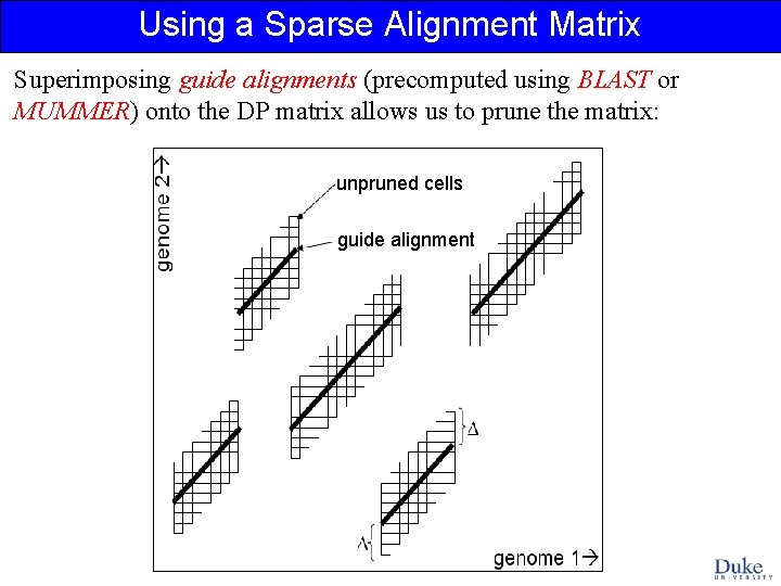 Using a Sparse Alignment Matrix Superimposing guide alignments (precomputed using BLAST or MUMMER) onto