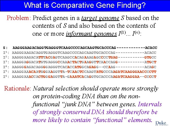 What is Comparative Gene Finding? Problem: Predict genes in a target genome S based