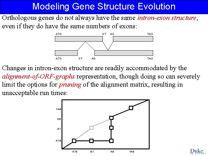 Modeling Gene Structure Evolution Orthologous genes do not always have the same intron-exon structure,