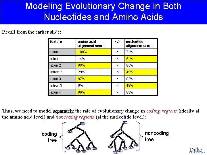 Modeling Evolutionary Change in Both Nucleotides and Amino Acids Recall from the earlier slide:
