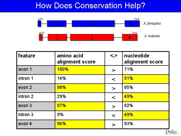 How Does Conservation Help? ATG 1 TGA 2 3 4 ATG 1 TGA 2