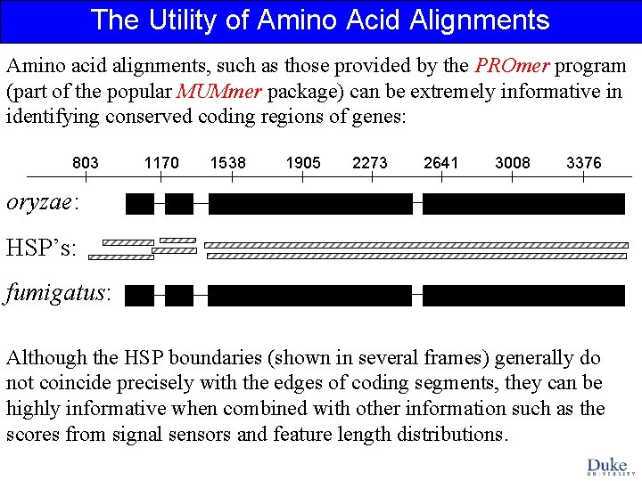 The Utility of Amino Acid Alignments Amino acid alignments, such as those provided by