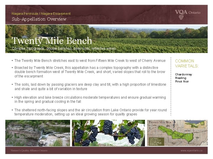 Niagara Peninsula / Niagara Escarpment Sub-Appellation Overview Twenty Mile Bench Complex topography, double benches,