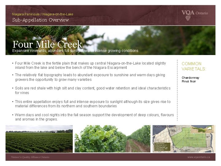 Niagara Peninsula / Niagara-on-the-Lake Sub-Appellation Overview Four Mile Creek Expansive vineyards, abundant full sunlight,