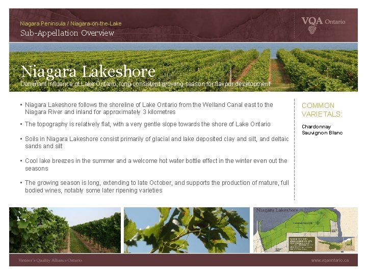 Niagara Peninsula / Niagara-on-the-Lake Sub-Appellation Overview Niagara Lakeshore Dominant influence of Lake Ontario, long