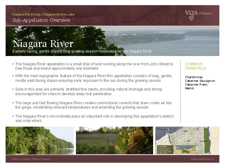 Niagara Peninsula / Niagara-on-the-Lake Sub-Appellation Overview Niagara River Easterly facing, gentle slopes, long growing