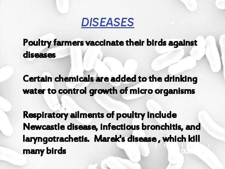 DISEASES Poultry farmers vaccinate their birds against diseases Certain chemicals are added to the