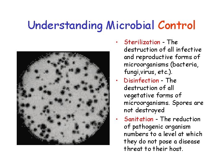 Understanding Microbial Control • Sterilization - The destruction of all infective and reproductive forms
