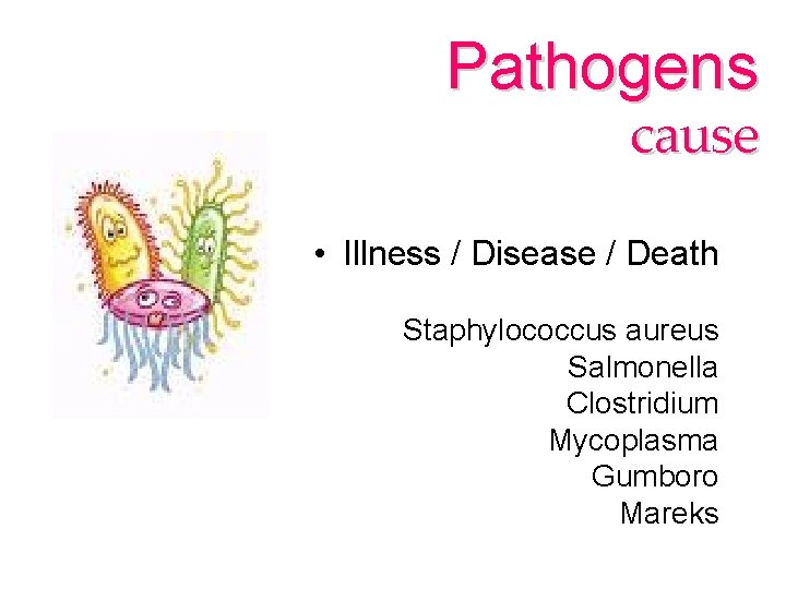 Pathogens cause • Illness / Disease / Death Staphylococcus aureus Salmonella Clostridium Mycoplasma Gumboro